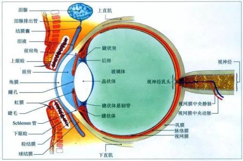 这种眼科疾病,一定要