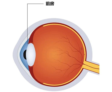clip_image006.png